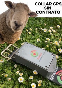 3 Razones por las que tener un COLLAR GPS