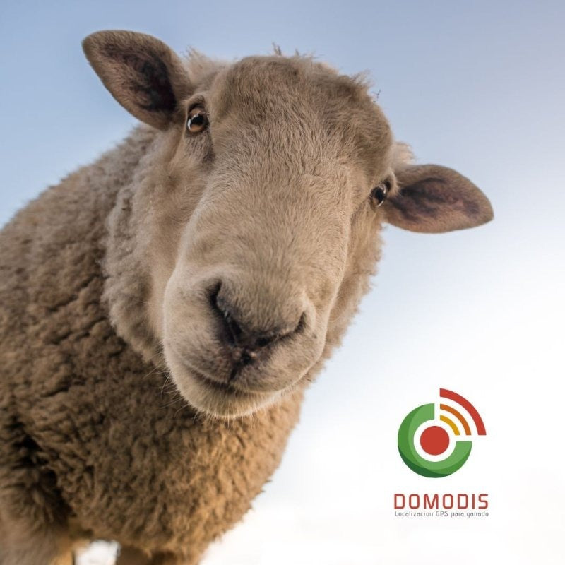 Localizador GPS Vía Satélite. NO NECESITA COBERTURA